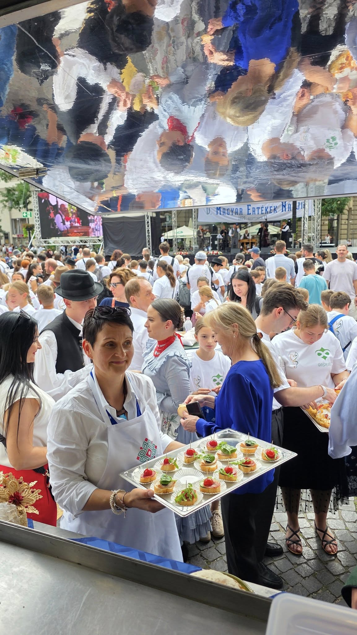 548802447_3343411759130393_8280096943592484052_n